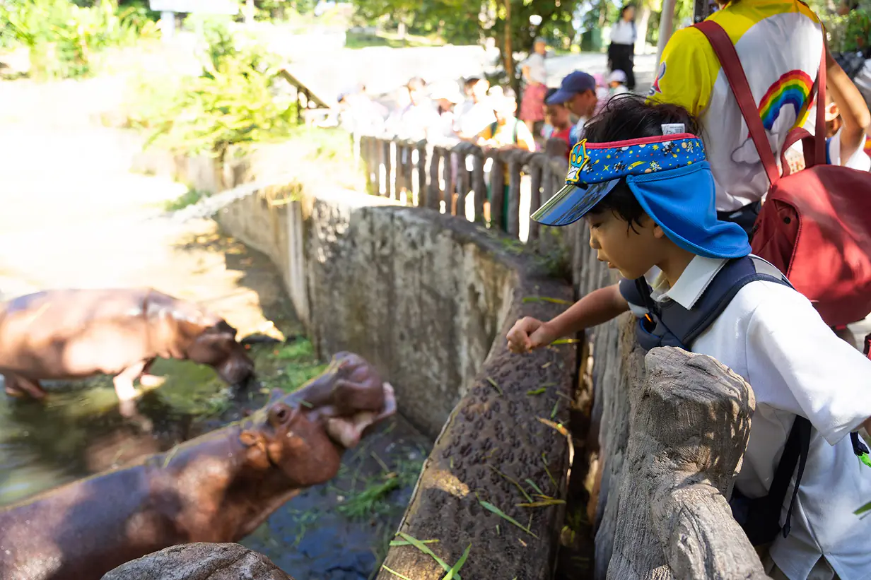 Elementary School Program